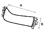 Size specification